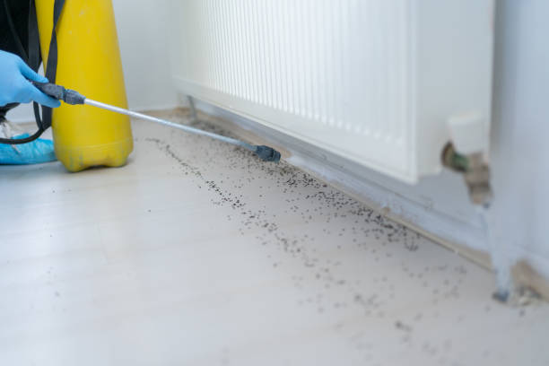 Trusted Barbourmeade, KY Pest Control Experts